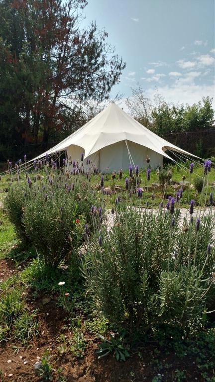 Acatitlan Glamping Hotel Valle de Bravo Ngoại thất bức ảnh